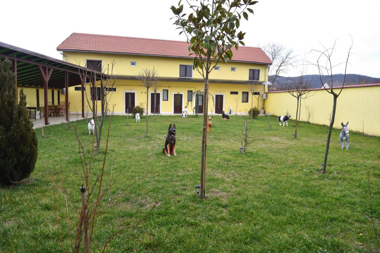 Hotel GeAS IV Caransebeş Exterior foto